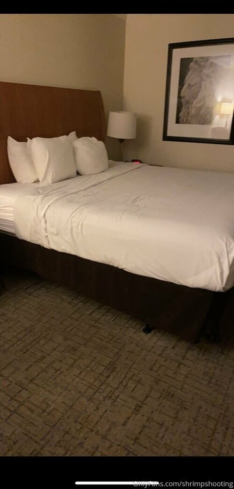 shrimpshooting erwachsene kunst galerien