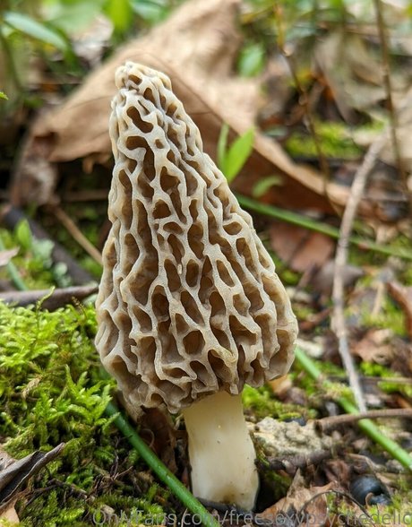 freesexypsychedelic nacktheit heiße galerien