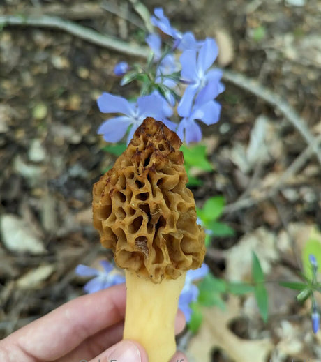 asiatische influencer-onlyfans hübsche nackte foto