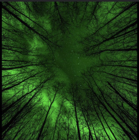 ssbbw oma onlyfans hübsche schöne galerien