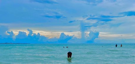 abrameduar xxx erotische galerie