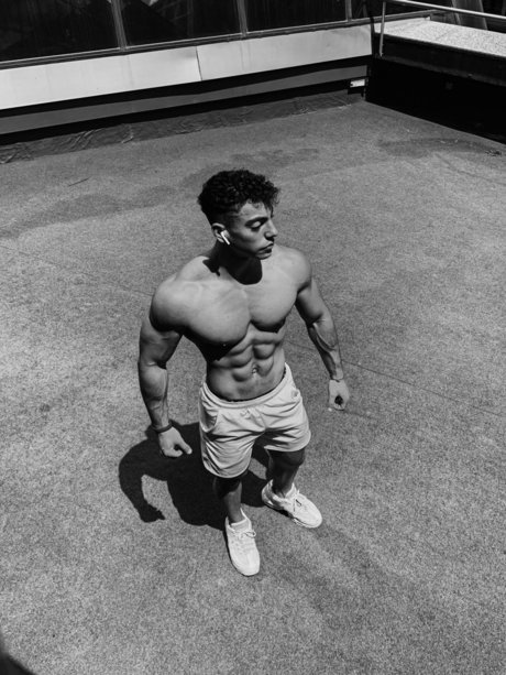 Aleixitofans freie fotos