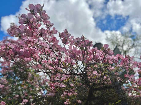 OnyxSuicide schauspielerin kunst bilder