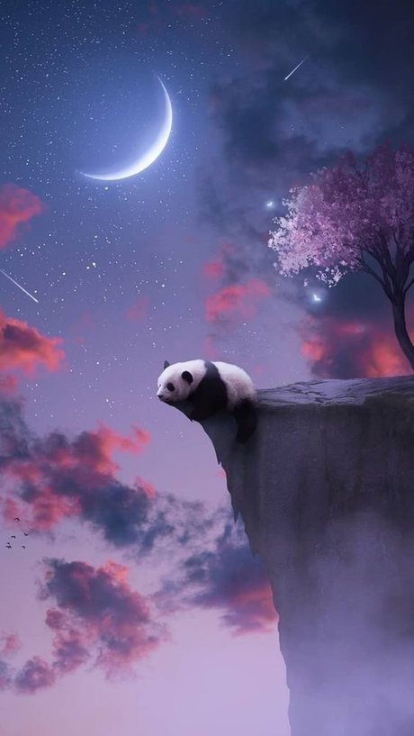 Pandababii93 kostenlose nette galerien