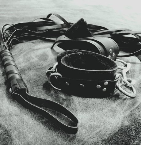 Penelope Rouge kunst pornographische archiv