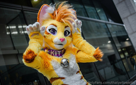 thatyellowkitty xxx kunst galerien