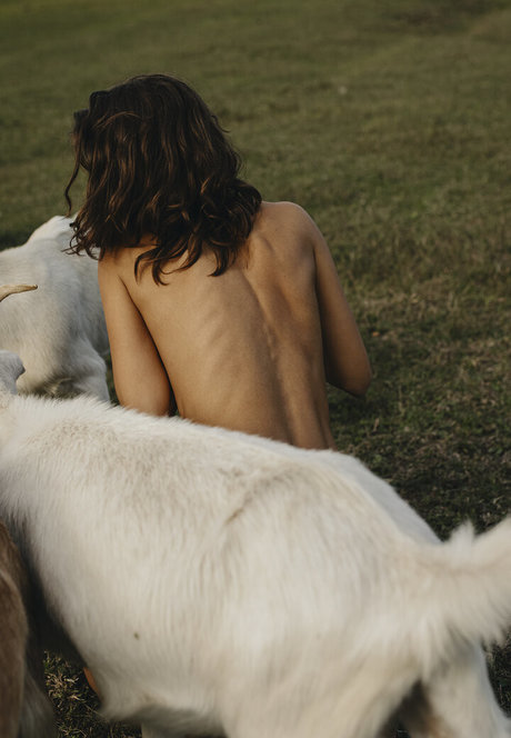 koch-onlyfans freie perfekte bilder