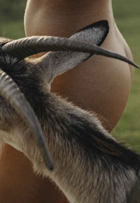 analreiten nur fans nackt top foto