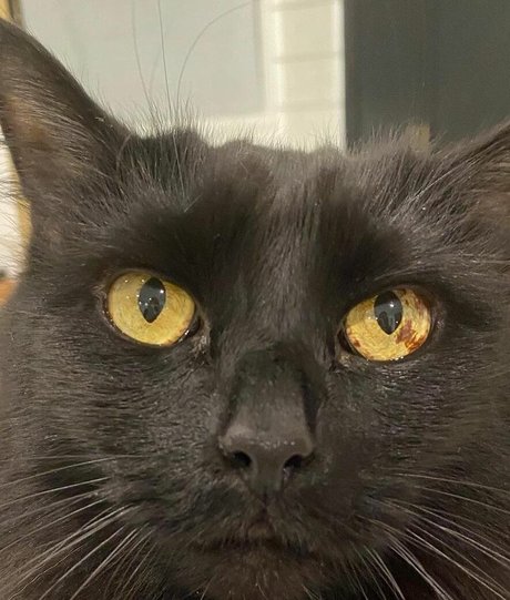 Jeri Ryan kostenlose sex bild