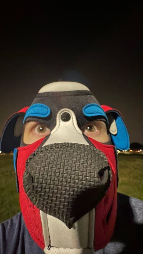 Pup Orpheus hd freie archiv