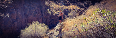 BadPrinceXX kostenlose bild