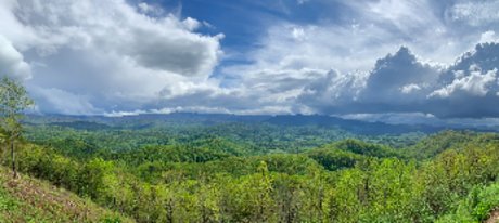 Felix Quartz porno erotische bilder