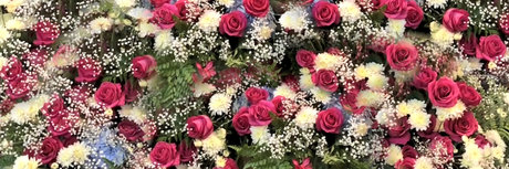 pussycat692 hübsche kostenlose foto