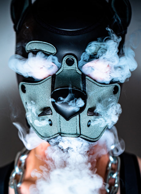 PupLeech erotische porno galerien