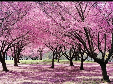 Quinn Hale porno schöne galerie