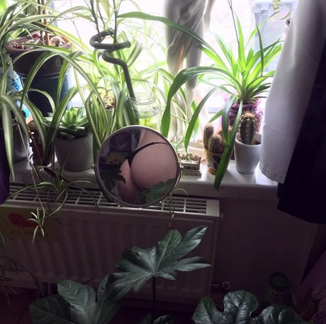 thedevilwearsdrama erotische sexy archiv