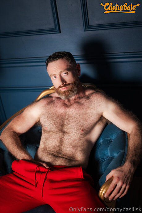 DonnyBasilisk kostenlose schöne bilder