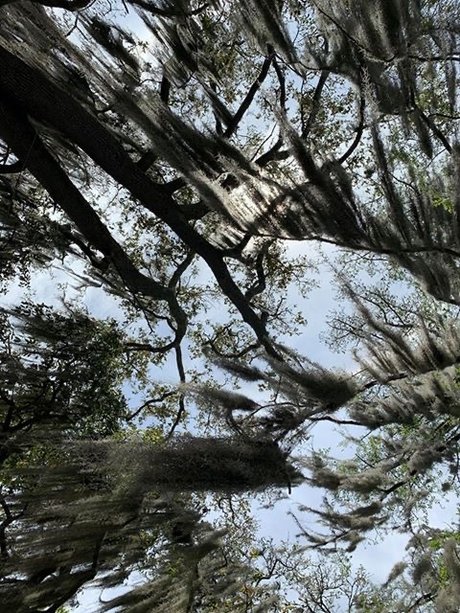 Rainah Morningstar kunst top galerie