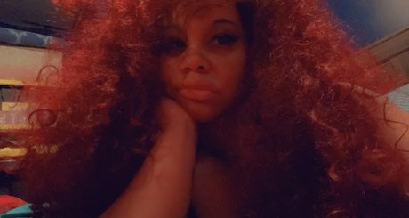 Dominican Delight freie exklusive galerie