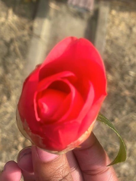 Milkkkkkmarie_ hübsche nackt bilder