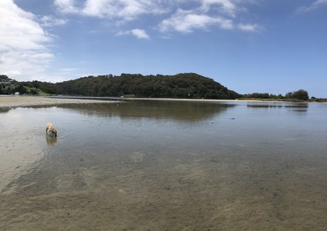 Reece Lowe pornostar xxx bilder