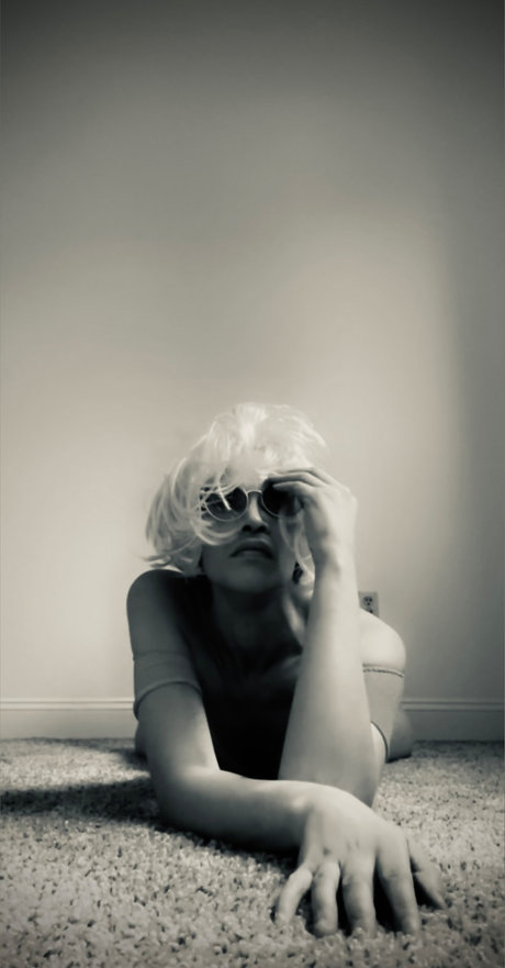 Redivivus Phoenix perfekte bild