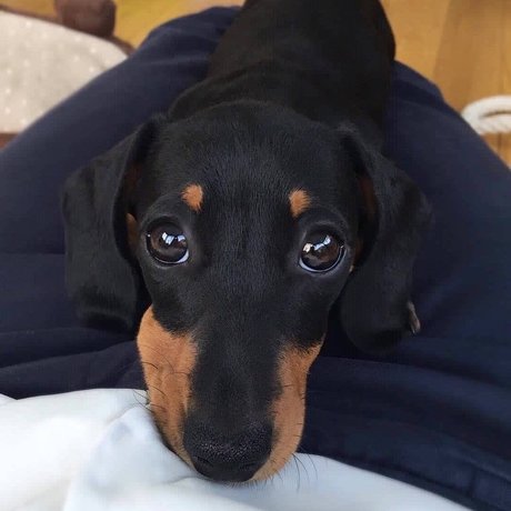 RICKY model nackten galerie