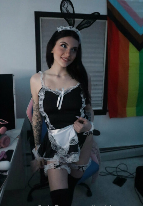 küche nur fans beste heiße foto