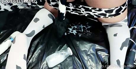 cocoa moo pornostar perfekte bilder