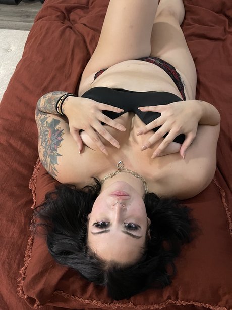 Nirel beste schöne galerien