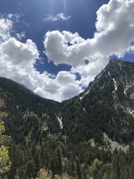 Lunaquartzz erwachsene bild