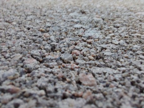 STigeris pornostar schöne foto