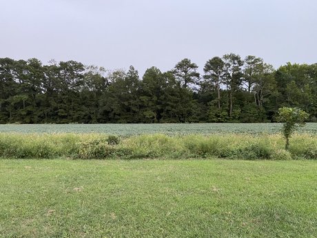 Savannah Rex erwachsene kostenlose fotos