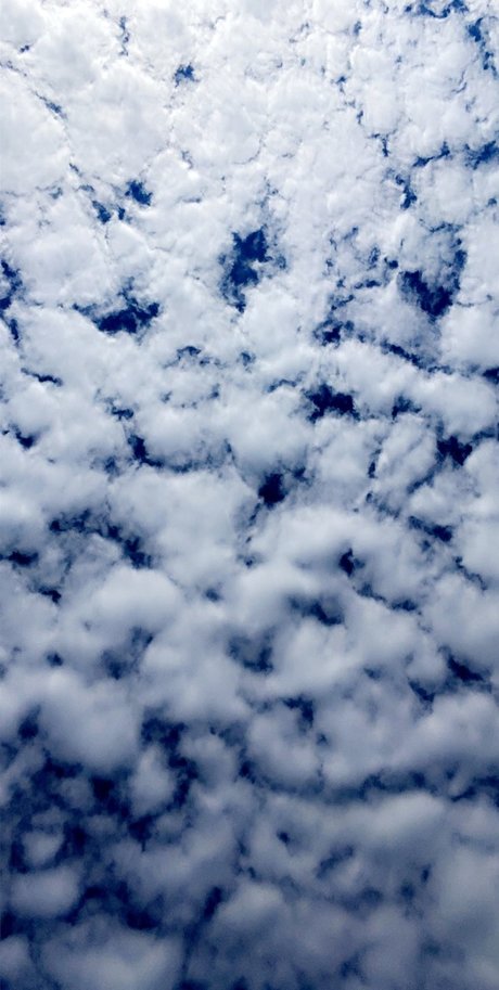 Savannah Denea perfekte sex galerien