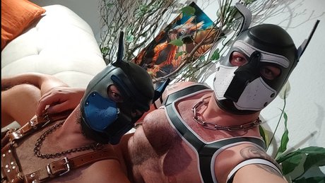 True Bare Bears freie hd galerie