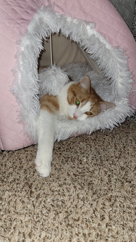 Zeus Lightning_ porno nackte galerie