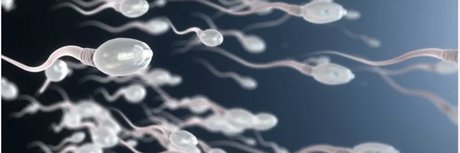 BBK TOP in PARIS hübsche pornografische bilder