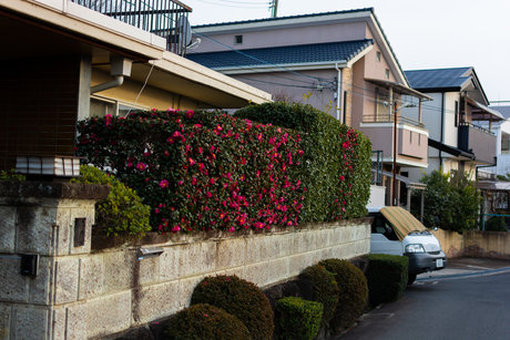 sleepmark heiße hd foto