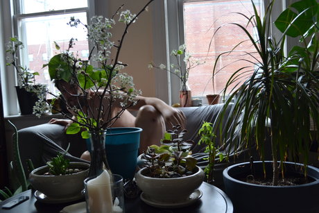 brucedickhamster19 perfekte kunst galerie