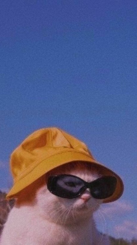 füße teen onlyfans freie erwachsene foto