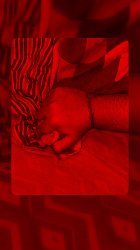 Gamboa freie porno archiv