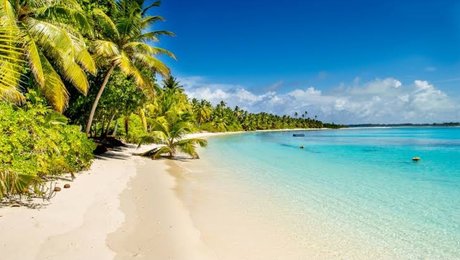 BURCU AKTAS erotische freie galerie