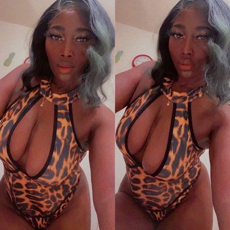 Chocolate Stallion_ erwachsene archiv