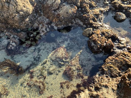 Chad Man sexy hübsche foto