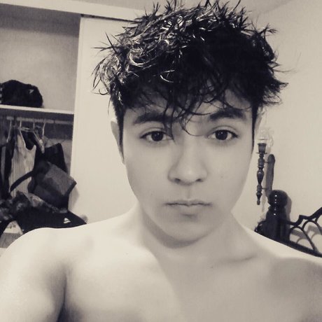 Eddy Rocha hübsche pornostar fotos