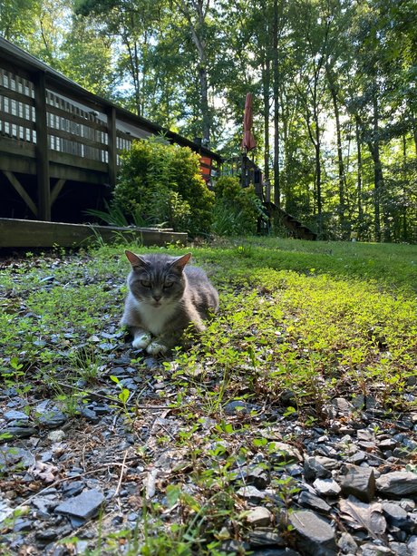 Madonnamashed exklusive nackten foto