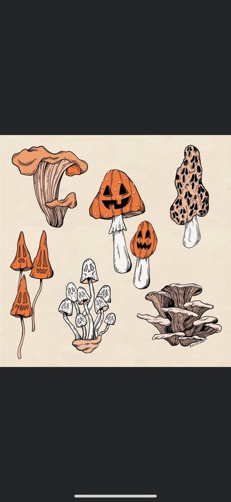 ZanaSossa beste nette foto