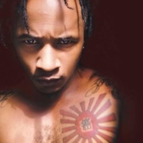 Dobbie Petty perfekte schöne galerie