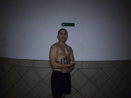 Suave93 perfekte hd bilder