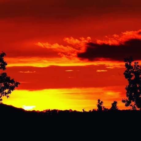 Dennis Leipzig freie beste foto